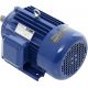 Silnik elektryczny 3,0KW 380V KD1815