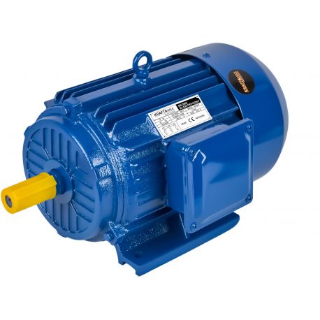 Silnik elektryczny 5,5KW KD1819