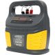 PROSTOWNIK MIKROPROCESOROWY 12V/24V 60-200Ah KD1920