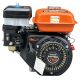 Silnik spalinowy 7KM 19mm KD6550