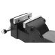 Imadło obrotowe z kowadłem 100mm KD3680